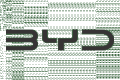 BYD Auto Qarshi CRM & Web App Development